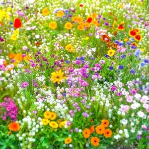 Hello!! I’m Caroline!